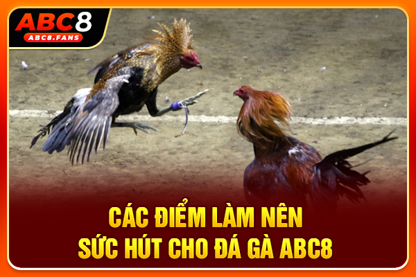 Các điểm làm nên sức hút cho đá gà ABC8