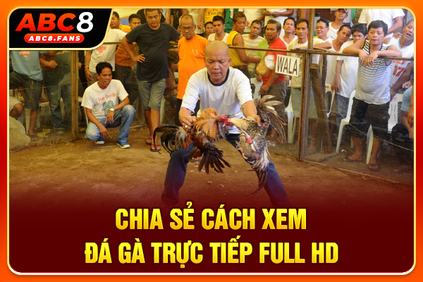 Chia sẻ cách xem đá gà trực tiếp full HD