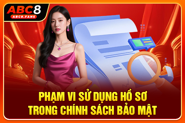 Phạm vi sử dụng hồ sơ trong chính sách bảo mật