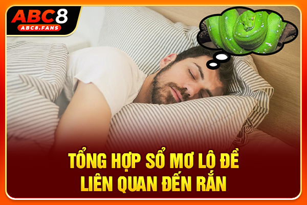 Tổng hợp sổ mơ lô đề liên quan đến rắn